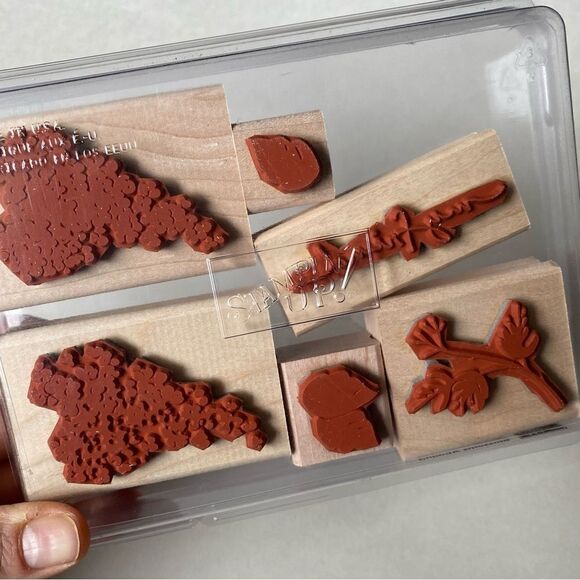 NEW Stampin’ Up! Retired Blossoms Abound, set of 6 incomplete (missing one) - Picture 4 of 4